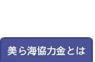 宮古島美ら海連絡協議会｜美ら海協力金とは