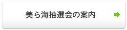 美ら海抽選会結果